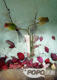 代孕违法吗