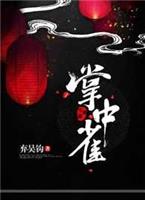 掌中雀20集